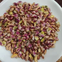 مغز پسته باره امسال