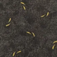 پالاز موکت