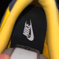 کتونی نایک dunk sb low|کیف، کفش، کمربند|تهران, جردن|دیوار