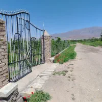 باغ-فروشی-در-فوشنجان