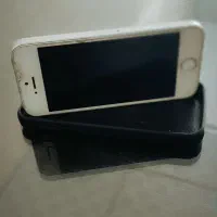 ایفون ، iphone|موبایل|شیراز, گل سرخ|دیوار