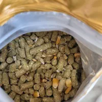 غذای خرگوش و جوندگان|موش و خرگوش|ارومیه, |دیوار