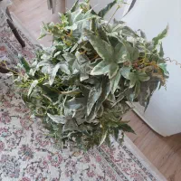 گلدان برگ انجیری|گل مصنوعی|تهران, انبار نفت|دیوار