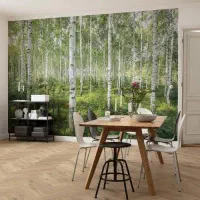 کاغذ دیواری و پوستر با چاپ اختصاصی . طرح‌های متنوع|مصالح و تجهیزات ساختمان|قدس, شهر‌قدس|دیوار