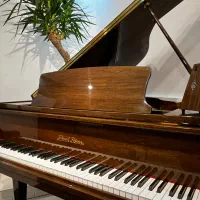 پیانو گرند پرل ریور