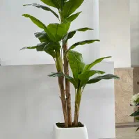گل و درختچه مصنوعی