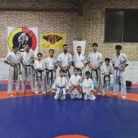 باشگاه رزمی کاراته