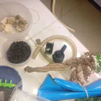 آکواریوم شیشه خم فیلتر سطلی با تمام لوازم مفت