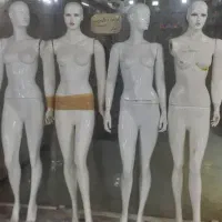 مانکن زنانه حرفه ای|فروشگاه و مغازه|فیروزآباد (فارس), |دیوار