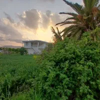 اجاره روزانه خانه باغ