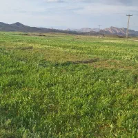 زمین در کمربندی بهلول