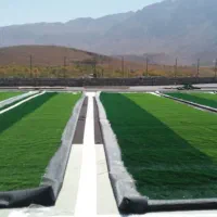 نصب انواع چمن مصنوعی ورزشی و تزئینی|مصالح و تجهیزات ساختمان|اصفهان, کوی امیریه|دیوار