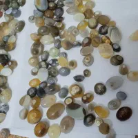 تعداد سه هزارتا باباقوری