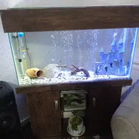 آکواریوم با پایه و سامپ لوازم کامل