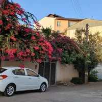 کد۵۳۹اجاره ویلای شیک ۱۱۰متری،خرمشهر|اجارهٔ خانه و ویلا|لاهیجان, مهرگان|دیوار