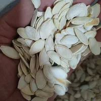 تخمه تبریز|خوردنی و آشامیدنی|همدان, |دیوار