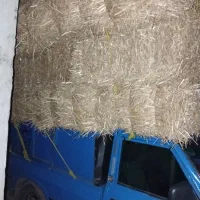 خرید و فروش پرس جو گندم به قیمت مناسب