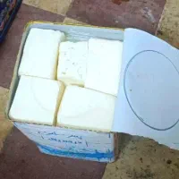 پنیر گوسفندی