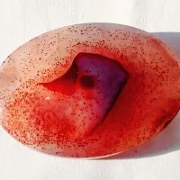 عقیق شنی و زیبای مصور (پرنده) کاملا طبیعی