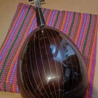 عود حرفه ای