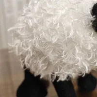 عروسک خرسی و بره ناقلا و خرگوش|اسباببازی بچه|اصفهان, پوریای ولی|دیوار