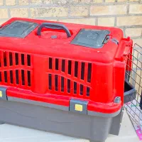 باکس سگ و گربه با وسایل|لوازم جانبی حیوانات|بهبهان, |دیوار