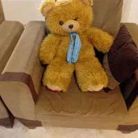 خرس بزرگ