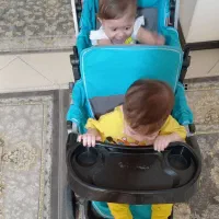 کالسکه دوقولو