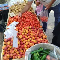 کار پشت ترازو