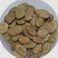 باقالی درجه۱