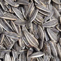 فروش عمده فقط 270 هزارتومان