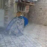 خانه|فروش خانه و ویلا|اهواز, بنکداری|دیوار