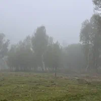 زمین باغ  در منطقه گردشگری بولاغلار نیر (اردبیل)|فروش زمین و ملک کلنگی|نیر (اردبیل), |دیوار