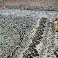 خانه-طبقه-اول