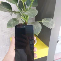 A35حافظه 256رام8