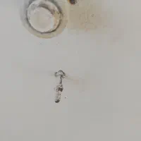 پنج-تومن-ماهی-2500