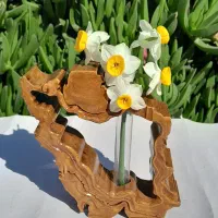 انواع دکوری گلجا نقشه ایران .اسب عودی