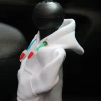 هودی دنده|قطعات یدکی و لوازم جانبی|نیشابور, ده حلاج|دیوار