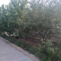 باغ ویلا ۵۰۰متری شاهنامه ۶۷ گنبدواز کلاکوب|فروش خانه و ویلا|مشهد, گنبدواز|دیوار
