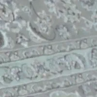 گلیم فرش ۶ متری کودکانه با فرش ۱۲ متری ۷۰۰ شانه|فرش|اسلام‌‌آباد غرب, |دیوار