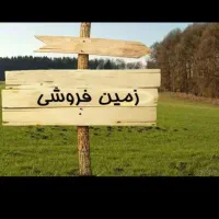 زمین کشاورزی