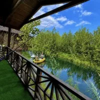 خریدی-ایده-آل