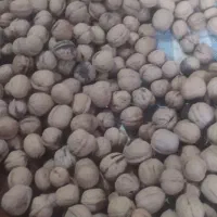 گردو دالاهو درجه یک