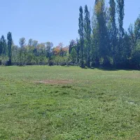 فروش چهار قطعه زمین5300متری در خلخال پشت داد کستری|فروش زمین و ملک کلنگی|خلخال, |دیوار