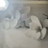 پرده زبرا