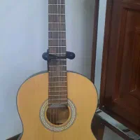 گیتار برگمولر
