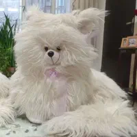 گربه عروسکی موزیکال