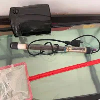 آکواریوم|ماهی|مشهد, کارمندان دوم|دیوار