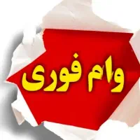 ضامن فوری