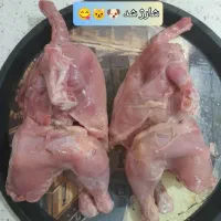مرغ کامل، غذای سگ و گربه